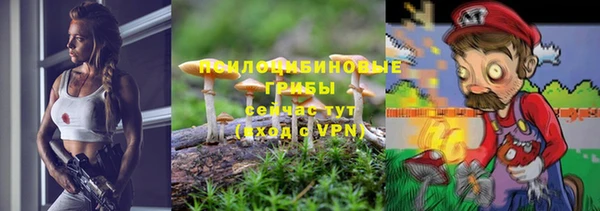 эйфоретик Аркадак