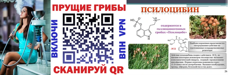 Псилоцибиновые грибы ЛСД  закладка  Пущино 